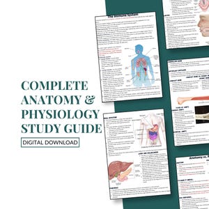 May include: A rustic wooden sign with the text "Welcome to our home" in white lettering. The sign features a distressed finish and a simple, inviting design, perfect for front door decor.