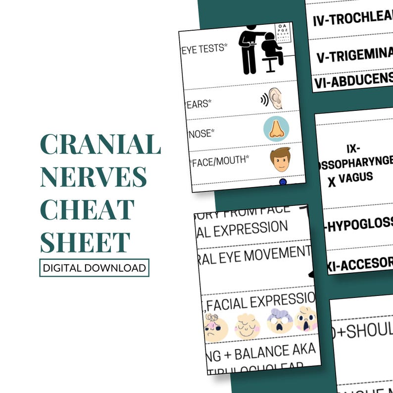 Cranial Nerves Cheat Sheet | Lesson | Instant PDF Printable Guide | Med ...
