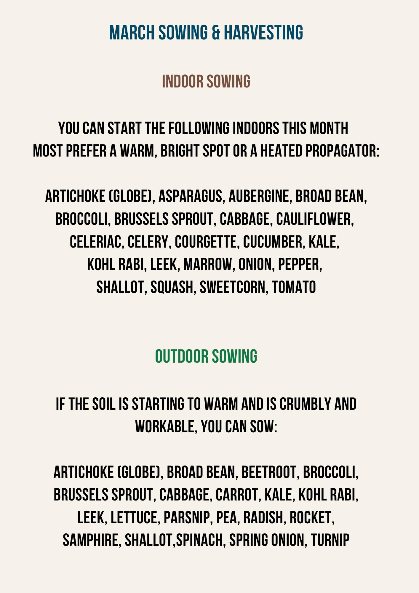 UK Vegetable Planting Calendar 2025 | Monthly Allotment Planner ...