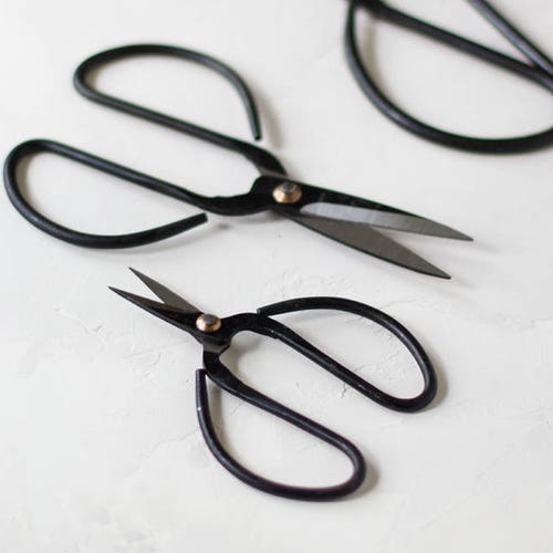Vintage Finish Black Bonsai Garden Shears scissors Small Etsy