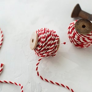 Chunky Red + Natural Twine on Wood Spool • 10 yards