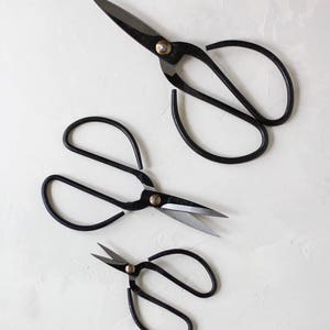 Vintage Finish Black Bonsai Garden Shears Scissors Small 4 / Medium 6 / Large 8 / Set image 3