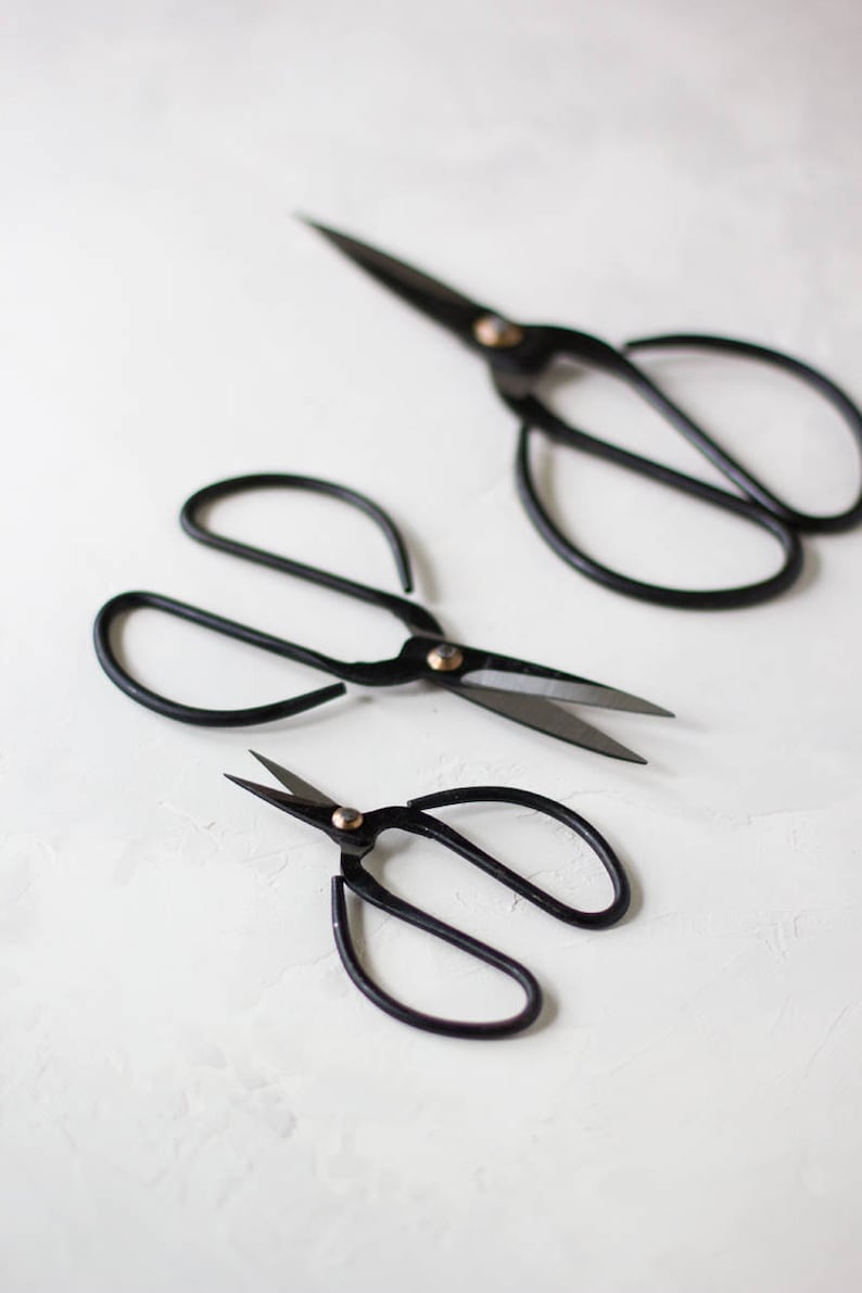Vintage Finish Black Bonsai Garden Shears (Scissors) \u2022 Small 4