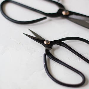 Vintage Finish Black Bonsai Garden Shears Scissors Small 4 / Medium 6 / Large 8 / Set image 2