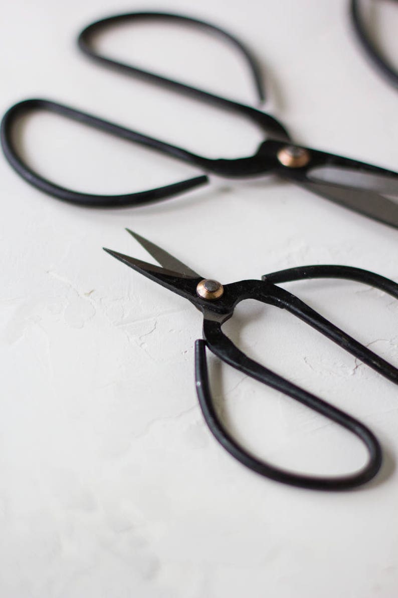 Vintage Finish Black Bonsai Garden Shears Scissors Small 4 / Medium 6 / Large 8 / Set image 2