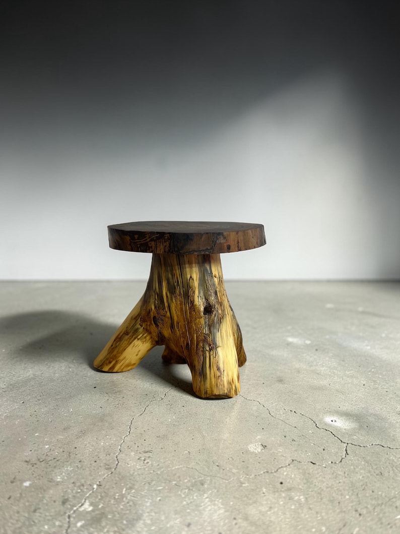 Rustic Log Table Riser Natural Cedar Log Riser With Black Walnut Top - Etsy
