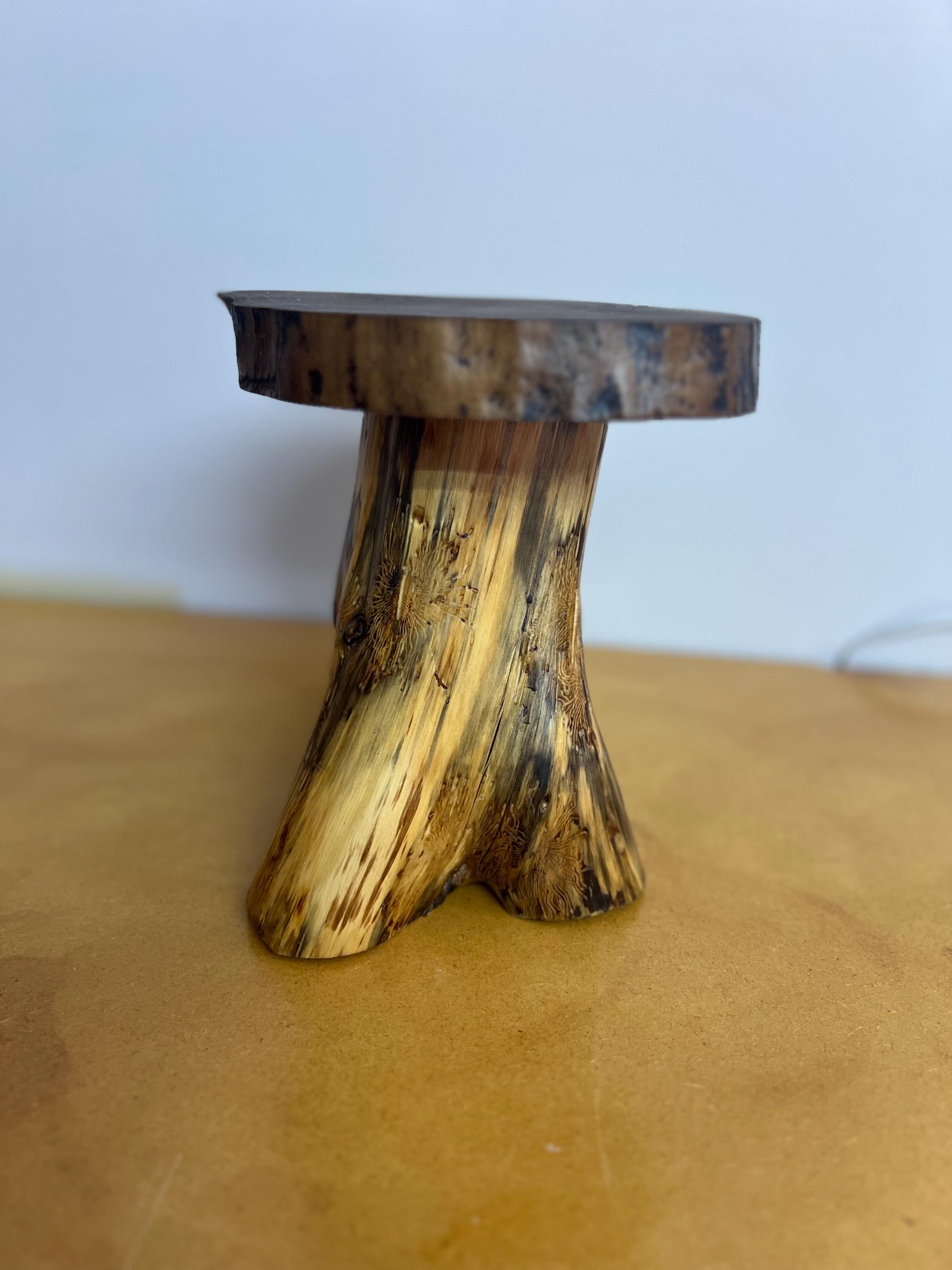 Natural Tree Root Riser Natural Cedar Log Riser With Black Walnut Top - Etsy