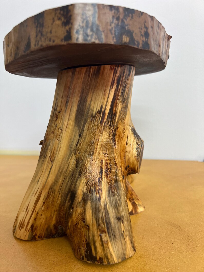 Natural Cedar Log Riser With Black Walnut Top - Etsy
