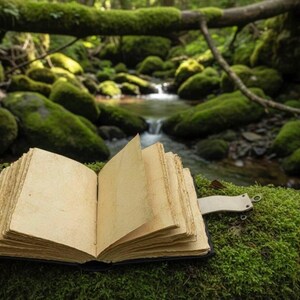 Peut inclure: Un livre ouvert aux pages &eacute;paisses de couleur cr&egrave;me &agrave; bords irr&eacute;guliers et &agrave; couverture sombre. Une sangle en cuir clair avec une fermeture &agrave; anneau m&eacute;tallique est fix&eacute;e sur le c&ocirc;t&eacute; du livre, pos&eacute; &agrave; plat sur une surface recouverte de mousse verte.