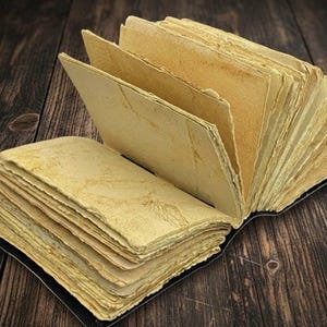 May include: An open, antique-style book with aged, yellowed pages. The pages are fanned out, revealing their texture and the book's binding. The book is set against a dark, wooden background, creating a vintage aesthetic.