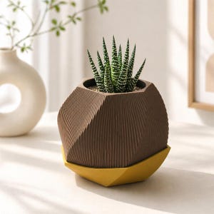 May include: A brown geometric planter with a textured surface, holding a small succulent plant with green and white striped leaves. The planter sits on a yellow geometric saucer. A white vase and greenery are in the background.