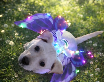 Lighted Dog Fairy Wings, Electronic Pet Wing Decoration, Moving Puppy Bee Outfit, Butterfly Shape
