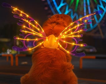 May include: A pet accessory featuring illuminated butterfly wings. The wings are purple with yellow lights, attached to a yellow base. The pet has brown fur. The background includes a Ferris wheel with colourful lights.