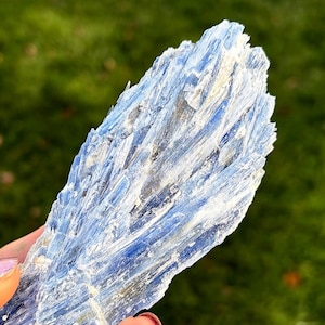 Natural Blue Kyanite Blades - HUGE SPECIMEN - Ruby Inclusion - 5.90oz