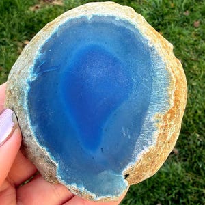 May include: A polished, natural stone with a vibrant blue center and a light brown, textured outer edge. The stone is held against a backdrop of green grass, showcasing its unique color and pattern.
