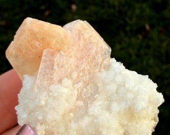 Puede incluir: Primer plano de un espécimen mineral con formaciones cristalinas de color melocotón sobre un lecho de material granular blanco. El espécimen tiene un aspecto rugoso y texturizado, con una estética natural y terrosa. El fondo está borroso, con follaje verde.