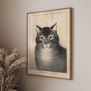 May include: Framed vintage print of a cat, featuring a detailed grayscale illustration. The cat has large, expressive eyes and a patterned coat. The text "THE FAVORITE CAT" is at the bottom of the print.