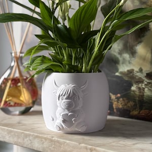 Self Watering Plant Pot – Highland Cow Planter – Valentine’s Gift for Couples