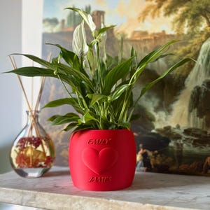 May include: A red plant pot with a heart and the names "Emily" and "James" embossed. It contains a green plant with white flowers. A glass diffuser is visible to the left. The pot is likely around 15 cm in diameter.