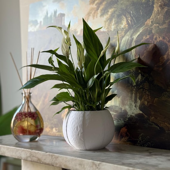 Self Watering Plant Pot - Modern Minimalist Dcor, Medium Size