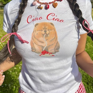 Puede incluir: Una camiseta blanca de manga corta con un estampado gráfico de un perro marrón y peludo comiendo un plato de espaguetis. El texto Ciao Ciao está impreso en rojo sobre la ilustración del perro. La camiseta tiene cuello redondo y corte ajustado.