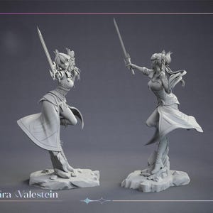 May include: Two gray statues of a female warrior in dynamic poses, each holding a sword. The statues are on rocky bases, with flowing garments and detailed armor. The text "Sara Valestein" is at the bottom.