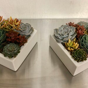 Square Concrete Planter, Succulent Planter, Planter, Concrete, Outdoor Planter, Indoor Planter, 3 colors to choose image 4