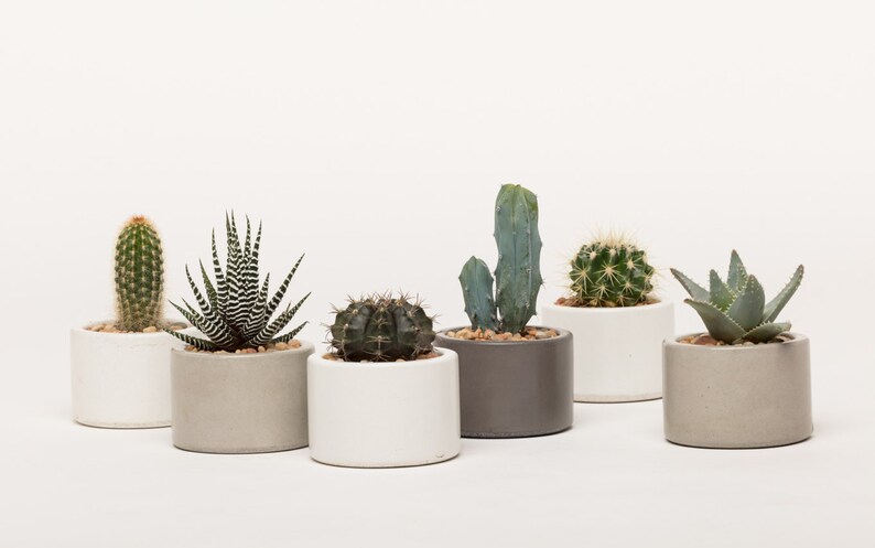 Concrete planter, Succulent pots, Concrete pots, Indoor/Outdoor concrete container, with or without drainage 1ea. 3 colors to choose image 2