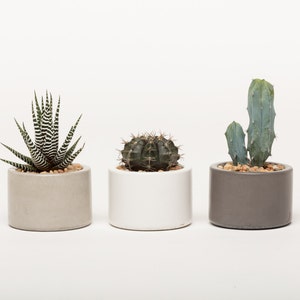 Concrete planter, Succulent pots, Concrete pots, Indoor/Outdoor concrete container, with or without drainage 1ea. 3 colors to choose image 1