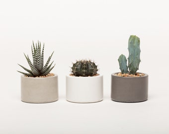 Concrete planter, FREE SHIPPING, Succulent pots, Concrete pots, Indoor/Outdoor concrete container **1ea. 3 colors to choose, great gift