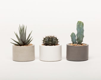 Concrete planter, Succulent pots, Concrete pots, Indoor/Outdoor concrete container, with or without drainage **1ea. 3 colors to choose