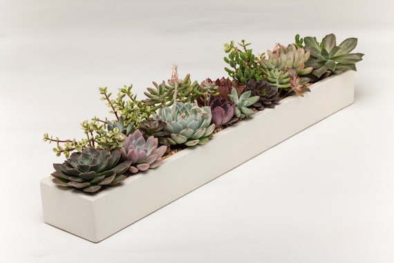 Concrete Planter  Rectangular Architectural Centerpiece for Indoor &  Outdoor Decor, 36 Handmade Modern Succulent Display - Etsy