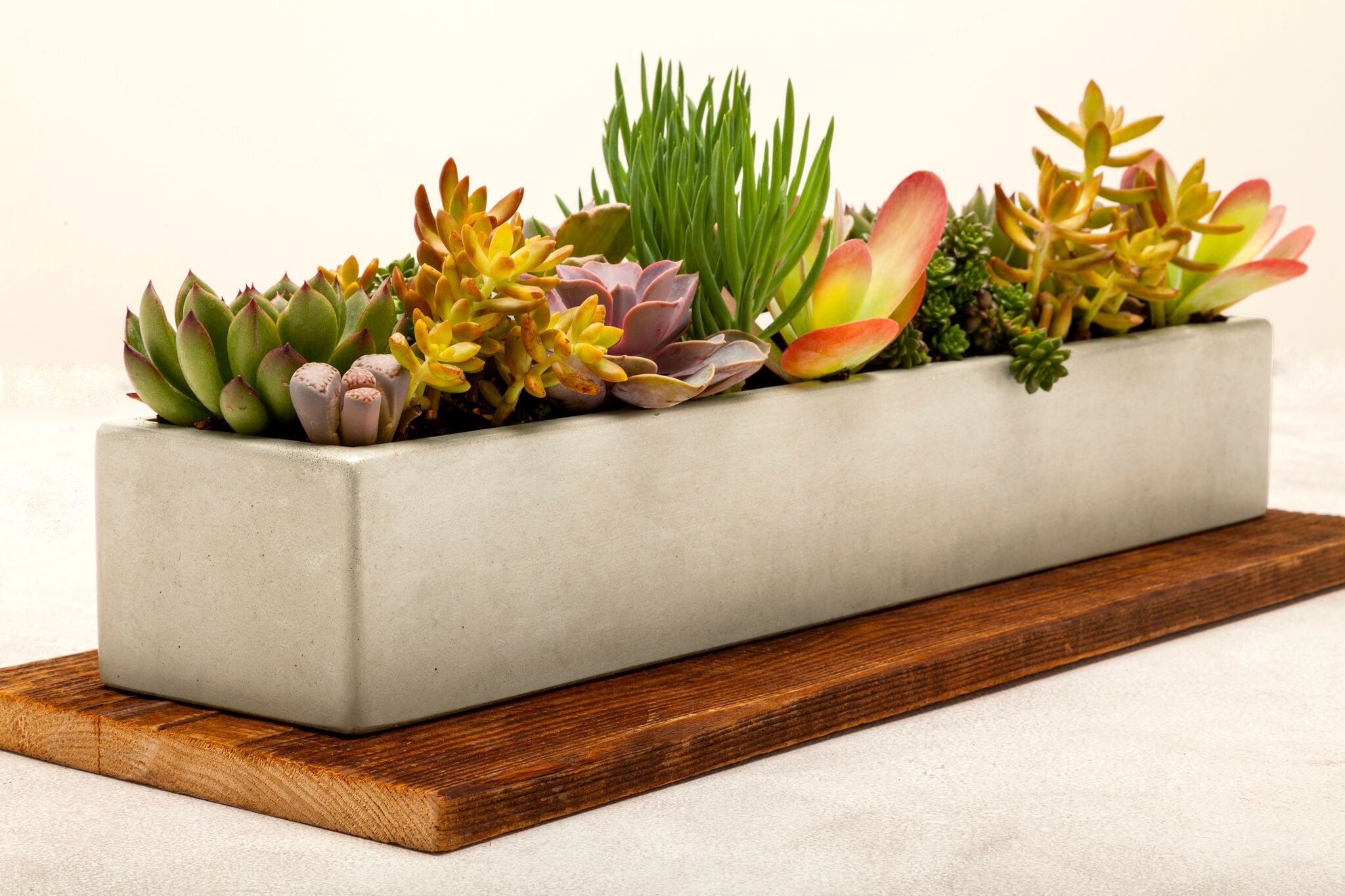 Concrete Planter, Concrete, Planter, Succulent Planter, Outdoor Planter, Indoor Planter, Herb Planter, Cement Planter