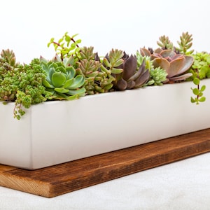 Concrete Planter, Succulent Planter, Planter, Concrete, Outdoor Planter, Indoor Planter,  3 colors to choose. FREE SHIPPING!!!