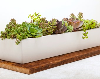 Concrete Planter, Succulent Planter, Planter, Concrete, Outdoor Planter, Indoor Planter,  3 colors to choose