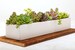 Concrete Planter, Succulent Planter, Planter, Concrete, Outdoor Planter, Indoor Planter, White, Herb Planter, Cement Planter 