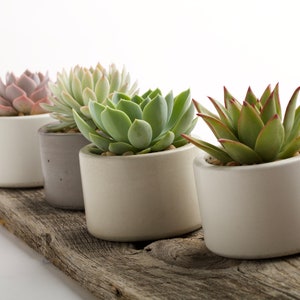 Concrete planter, Succulent pots, Concrete pots, Indoor/Outdoor concrete container, with or without drainage 1ea. 3 colors to choose image 5