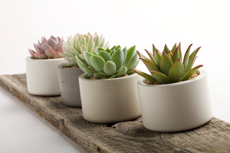 Concrete planter, Succulent pots, Concrete pots, Indoor/Outdoor concrete container, with or without drainage 1ea. 3 colors to choose image 5