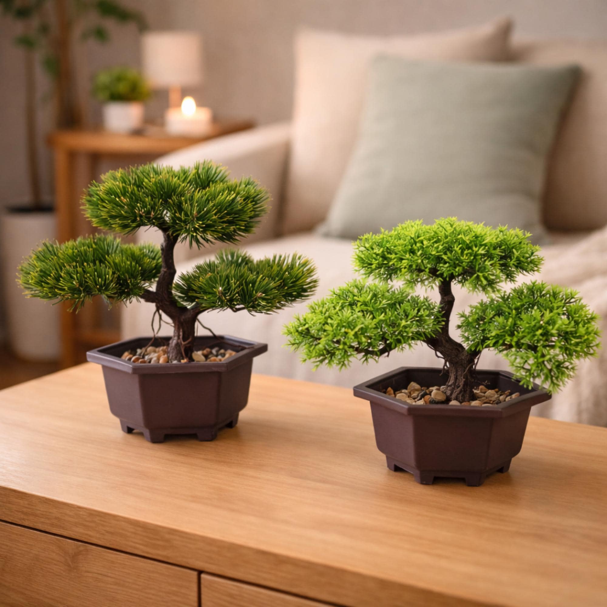 Bonsai regale - Etsy.de