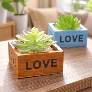 Puede incluir: Dos pequeñas macetas de madera con suculentas artificiales. Una está teñida de marrón, la otra pintada de azul. Ambas macetas tienen la palabra "LOVE" impresa en negro. Las suculentas son verdes con un toque de morado.
