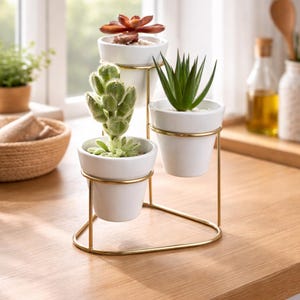 May include: A tiered plant stand with three white ceramic pots, each holding a different succulent. The stand is made of gold-colored metal. The plants include a red succulent, a cactus, and a green succulent.