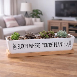 Peut inclure: Un pot rectangulaire blanc avec le texte "BLOOM WHERE YOU'RE PLANTED" en noir. Le pot contient plusieurs succulentes et de petits cailloux, et repose sur un plateau en bois. Le pot mesure environ 30 cm de long.