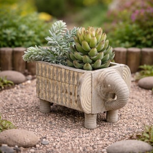 May include: A decorative elephant-shaped planter made of weathered stone, filled with green and gray succulents. The planter has a rectangular body with carved details and short, cylindrical legs. The elephant's trunk and ears are visible.