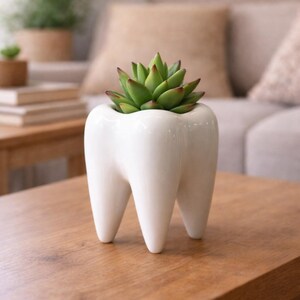 Op de afbeelding: Een witte, tandvormige keramische plantenbak met een groene vetplant met rood getipte bladeren. De plantenbak heeft drie afgeronde wortels en staat op een houten tafel. De achtergrond bevat een bank en andere decoraties.