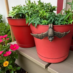 Peut inclure: Deux pots de fleurs rouges remplis de plantes vertes. Une décoration de chauve-souris en bronze est fixée à l'avant d'un pot. Des fleurs roses et jaunes sont au premier plan.