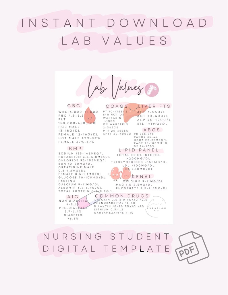 May include: A digital lab values template for nursing students, with medical test ranges and common drug information. The design is in soft pink with handwritten-style fonts, including a PDF icon.