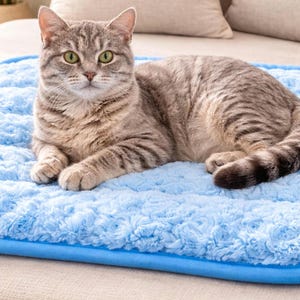 Cat Bed Mat  15x11 |Washable Non-Slip  Foam Cushion For Cat Carrier, Crate or furniture| Stackable Comfort Pad