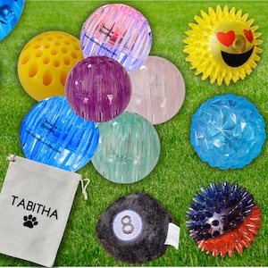Dog Ball Toy Set - Bouncy Rubber & Plush Squeaky Balls + Personalized Dog Pouch Treat Pouch, Gift For Dogs or Puppies