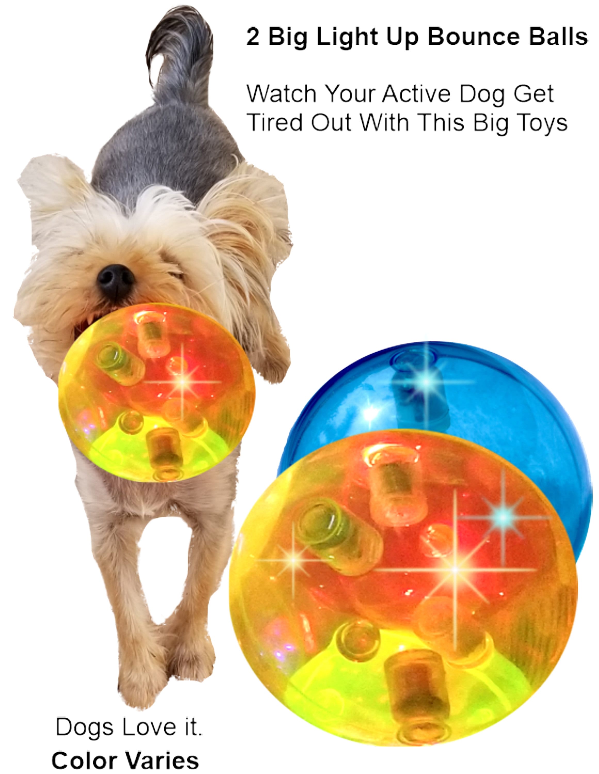 Light up Dog Toy Gift 4 Big Ball W/ Crazy Bounce & Multi-color Flashing  Light Entertains exercises Pets for Small to Medium Sized Dogs 