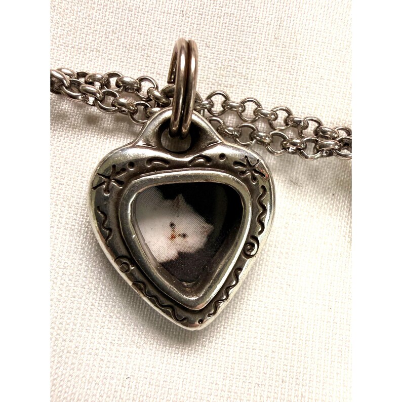 Pode incluir: Um colar com pingente em forma de cora&ccedil;&atilde;o prateado. O pingente apresenta uma pequena imagem emoldurada de um gato preto e branco. O cora&ccedil;&atilde;o &eacute; decorado com desenhos de estrelas e espirais nas bordas. A corrente do colar &eacute; de estilo simples.